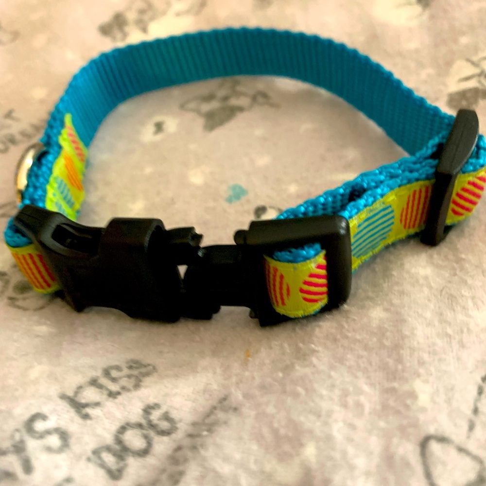 Small Dog Collar NWOT